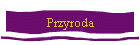 Przyroda